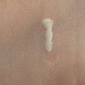 Матирующий праймер перфектор BECCA - Ever Matte Poreless Priming Perfector (12 мл)